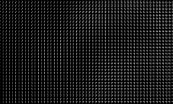 Featured image of post Low Dimensional Autoencoder